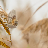 Finalmente in volo!