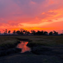 Musiara Marsh – Masai Mara