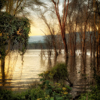 Lake Nakuru color